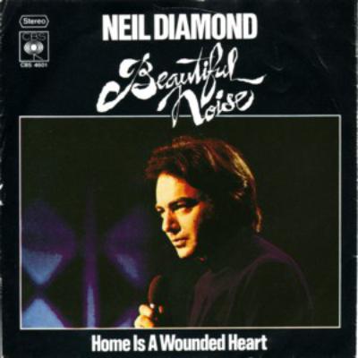 Beautiful Noise