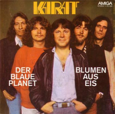 Blumen aus Eis